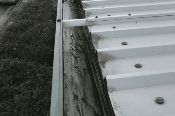 Commercial gutter cleaning specialists in Stevenage